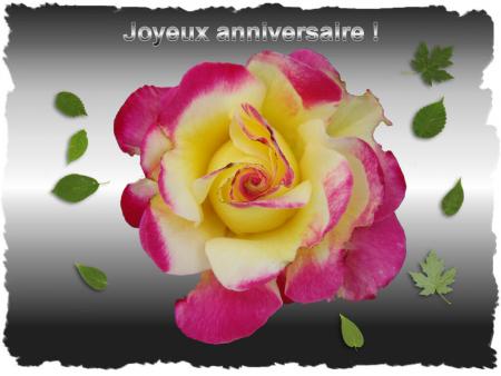 вσи αииινєяѕαιяє :)